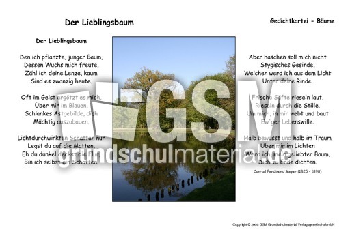 Der Lieblingsbaum-Meyer.pdf